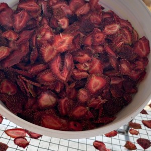 Çilek Kurusu (200 gr)