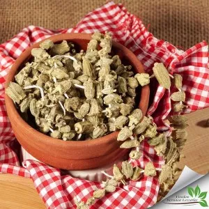 KURU BAMYA ( 1 DİZİ )