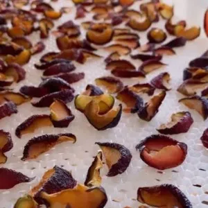 ERİK KURUSU ( 200 GR )