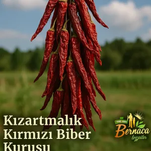 KIZARTMALIK TATLI BİBER KURUSU  ( 1 ADET )